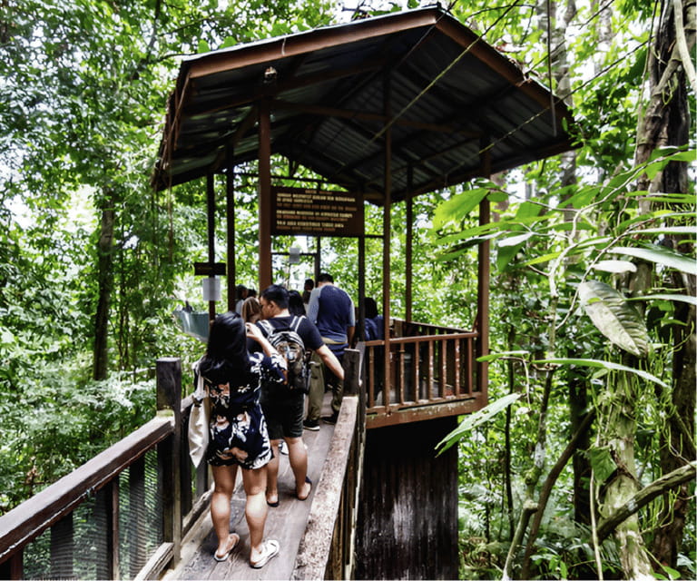 Sabah: Kinabalu Park, Hot Springs, and Cow Farm Day Tour - Kinabalu Park UNESCO Walk: What You Really Get Out of the Guided Trail