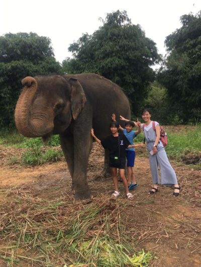 Safari Lagoi & Eco Farm Bintan - What a 90-minute visit feels like in real life