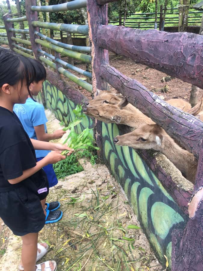 Safari Lagoi & Eco Farm Bintan - What to bring for a comfortable eco-and-animal outing
