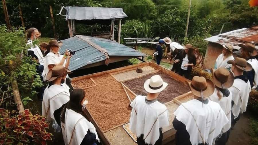 Salento and Cócora Tour + Coffee Farm from Pereira/Armenia - Price and value: why $173 can make sense here