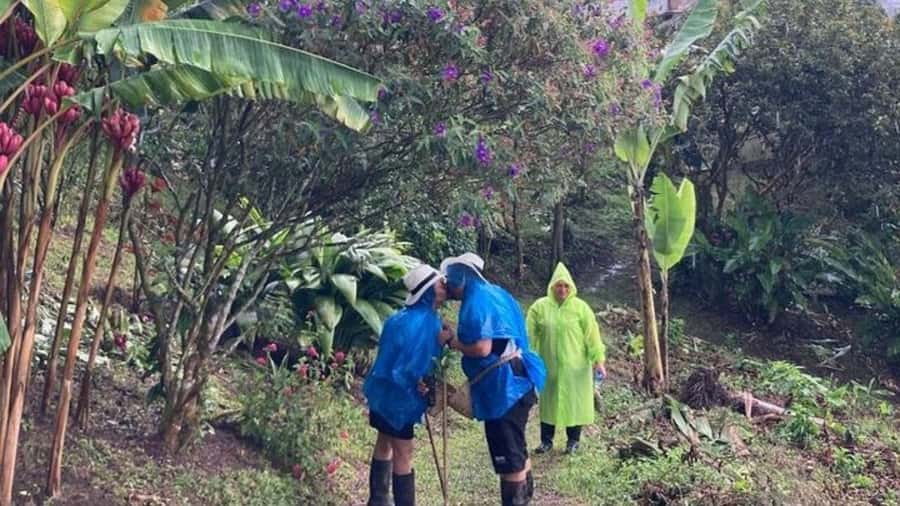 Salento and Cócora Tour + Coffee Farm from Pereira/Armenia - Should you book this Salento–Cocora–Coffee Farm trip?