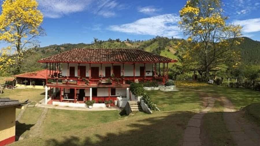 Salento and Cócora Tour + Coffee Farm from Pereira/Armenia - Guides and drivers: what you’re paying for besides transportation