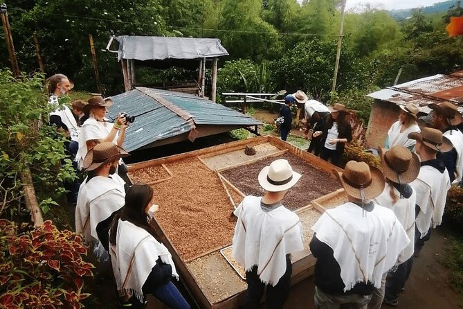 Salento and Cócora Tour plus Coffee Farm from Pereira or Armenia - Picking Up in Pereira or Armenia: Door-to-Door Matters