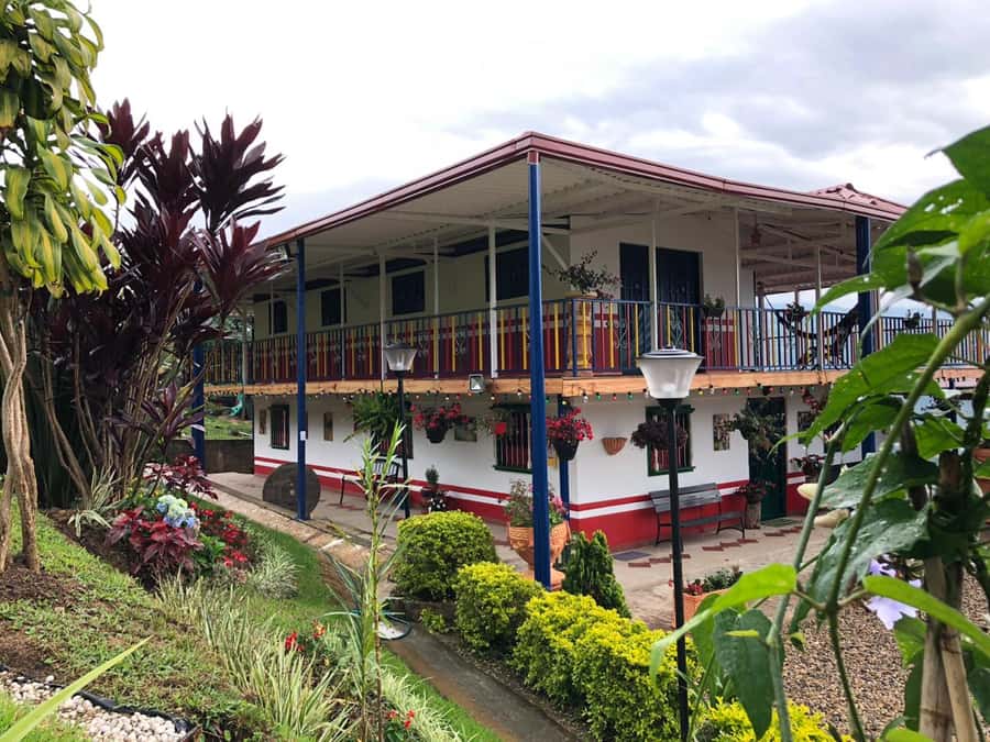 Salento: Coffee Farm Tour with Tasting - A Tolima Coffee Farm Day That Actually Explains the Work