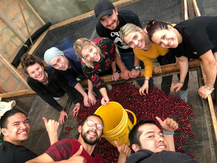 Salento: Coffee Farm Tour with Tasting - Meeting the Coffee Expert: How the Day Gets Its Structure