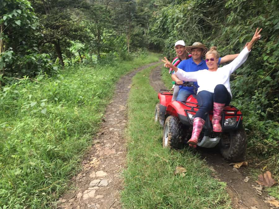 Salento: Coffee Farm Tour with Tasting - On the Plantation: Walking Through Coffee’s Life Cycle