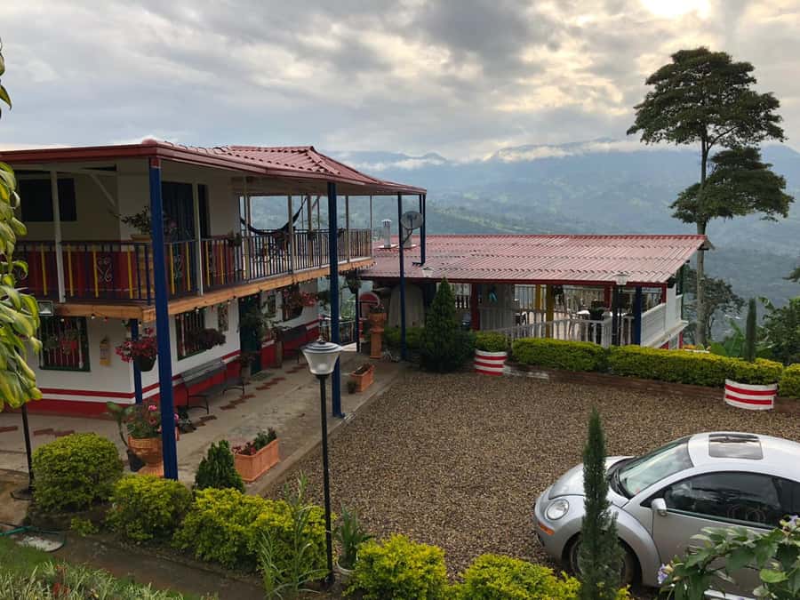 Salento: Coffee Farm Tour with Tasting - Hands-On Moments: Planting Seedlings and Picking Cherries