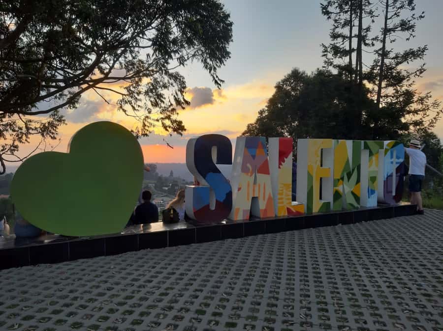 Salento: Private Cocora Valley, Salento & Coffee Farm Tour - Key things you’ll remember