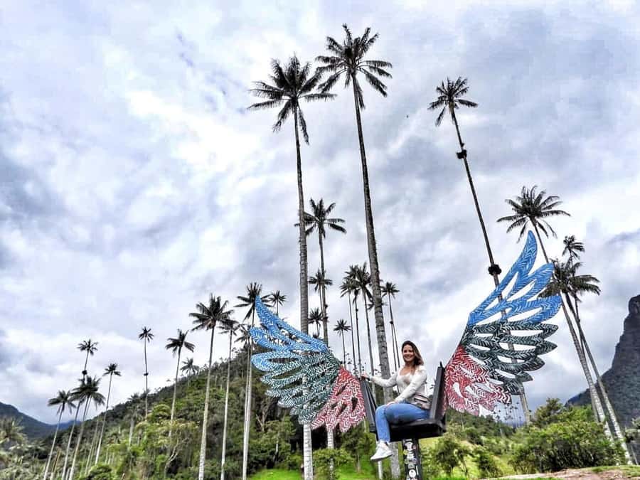 Salento: Private Cocora Valley, Salento & Coffee Farm Tour - How Cocora Valley’s Wax Palms and UNESCO Status Shape the Day
