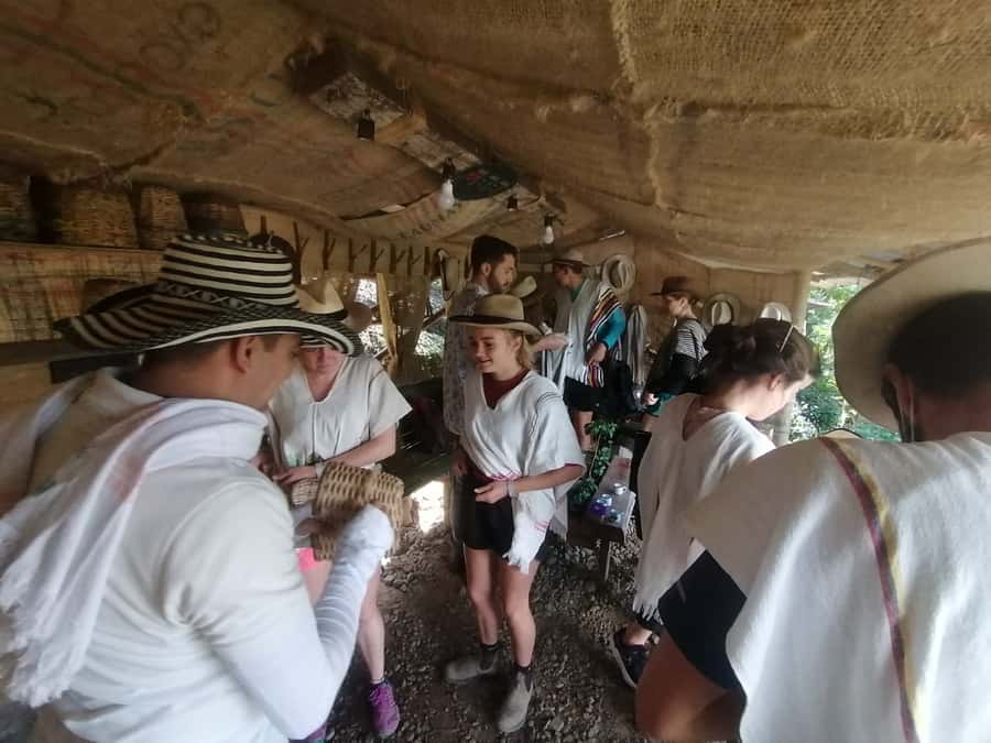 Salento: Private Cocora Valley, Salento & Coffee Farm Tour - Coffee Farm Time: From Plantation to Your Cup (Step by Step)