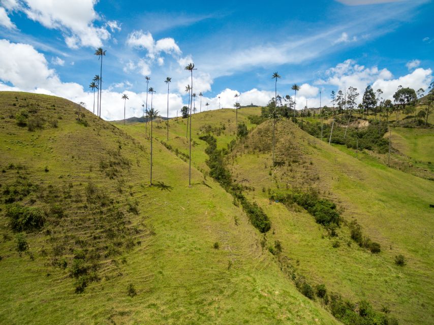 Salento: Private Cocora Valley, Salento & Coffee Farm Tour - Lunch, Time, and the $157 Price Tag: Is It Worth It?