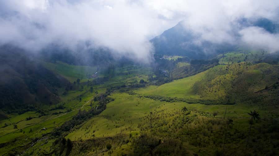 Salento: Private Cocora Valley, Salento & Coffee Farm Tour - Who This Private Tour Is Best For