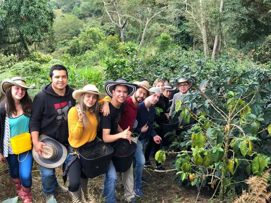 Salento: Private Cocora Valley, Salento & Coffee Farm Tour - Getting Picked Up in Armenia, Salento, or Filandia (and Why Timing Matters)