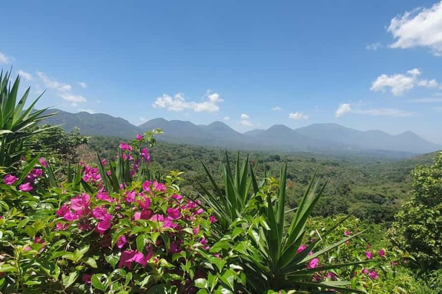 San Salvador: Full Day Ruta de Las Flores and Coffee Farm - Key points before you go