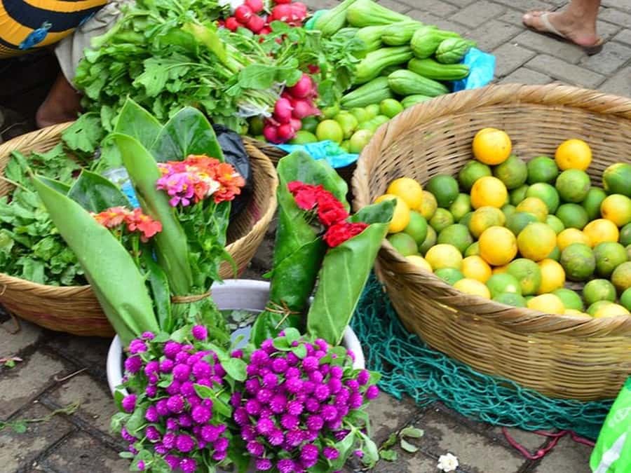 San Salvador: Full Day Ruta de Las Flores and Coffee Farm - Ruta de las Flores: why this loop works so well for a day