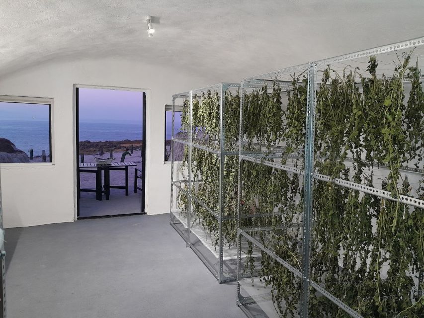 Santorini: Private Agri-Educational Visit to an Organic Farm - Key Takeaways Before You Go