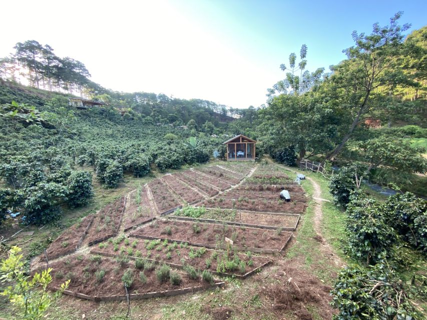 Scented candle workshop at Twin Beans Farm - Da Lat suburb - Should you book the scented candle workshop at Twin Beans Farm?
