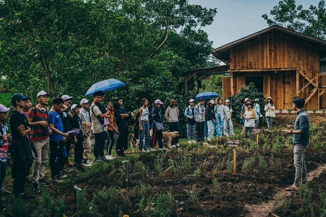 Scented Candle Workshop in Twin Beans Farm Da Lat - Twin Beans Farm in Da Lat: a nature-paced break