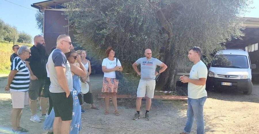 Seggiano: Typical Tuscan Farm Tour with Olive Oil Tasting - From equipment to cellar: seeing the whole path to extra virgin
