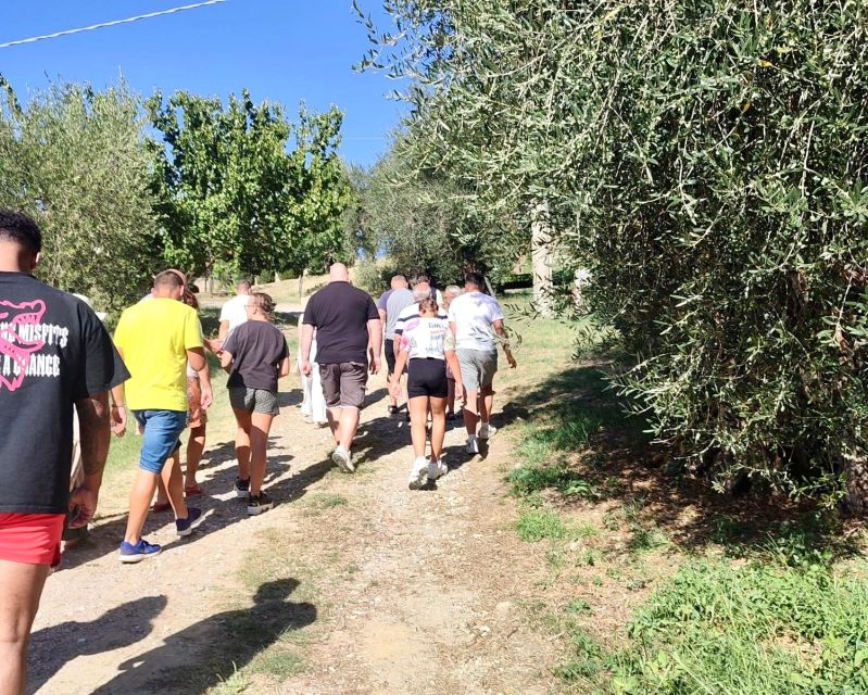 Seggiano: Typical Tuscan Farm Tour with Olive Oil Tasting - The tasting: how to learn the flavors instead of guessing them