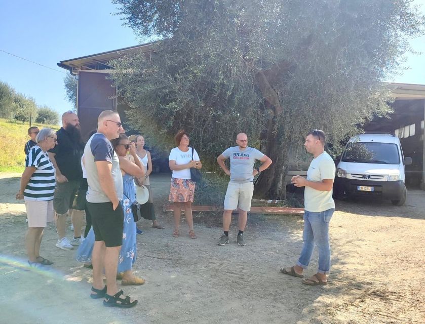 Seggiano: Typical Tuscan Farm Tour with Olive Oil Tasting - What you might notice during the 2-hour visit
