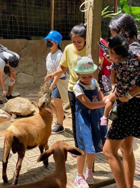 Selangor: Farm In The City Entry Ticket - Opening Hours, Tuesday Closures, and the Best Timing