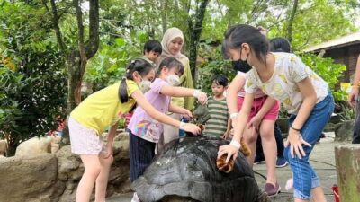 Selangor: Farm In The City Entry Ticket - Ticket Price and What You Really Get for Around $10