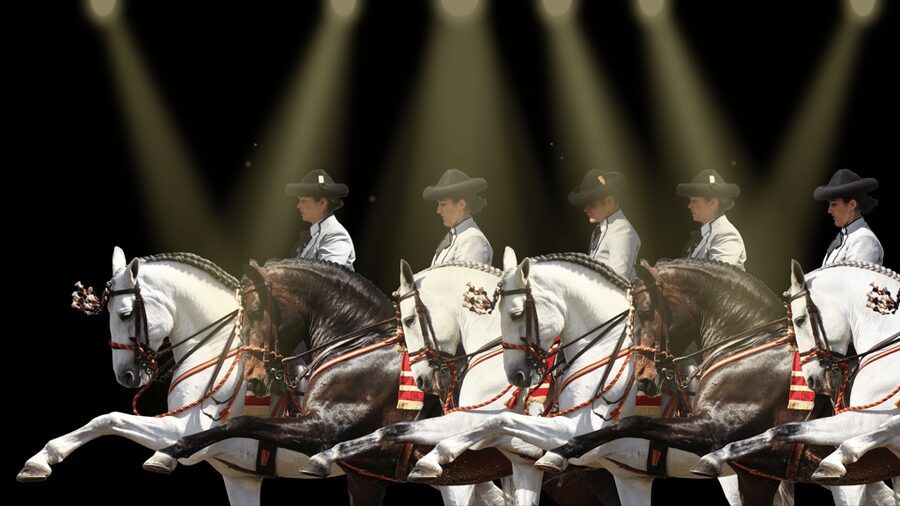 Seville: Horse's Show Entry Ticket. Optional Stud Farm Visit - Timing: 45 Minutes to 2 Hours and How to Plan Around It