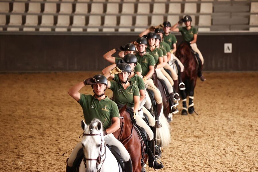 Seville: Horse's Show Entry Ticket. Optional Stud Farm Visit - Getting There From Seville: Plan Routes Like a Local