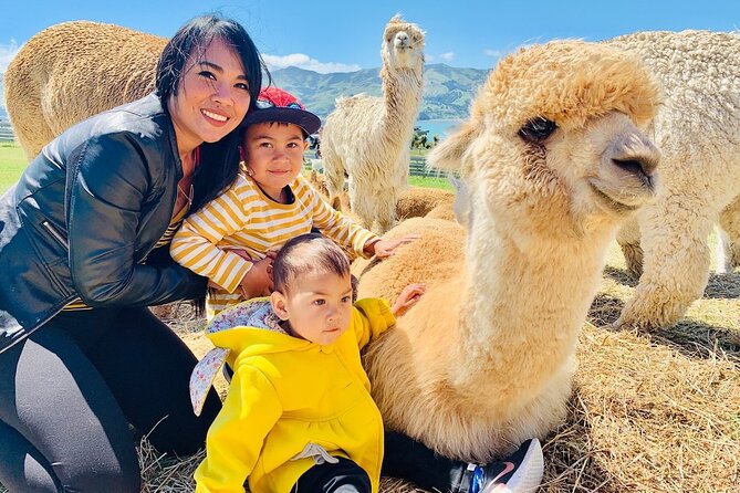 Shamarra Alpaca Farm Tours - Key highlights to know before you go
