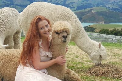 Shamarra Alpaca Farm Tours - Feeding, petting rules, and what the guides actually teach