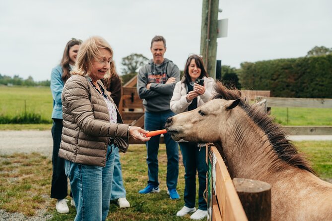 Sheep Farm Day Trip from Christchurch + Lunch and Winery visit. - Georges Road Wines in Waipara Valley: a calm tasting with learning built in