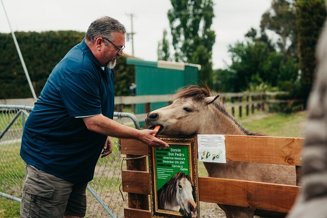 Sheep Farm Day Trip from Christchurch + Lunch and Winery visit. - Should you book this tour?