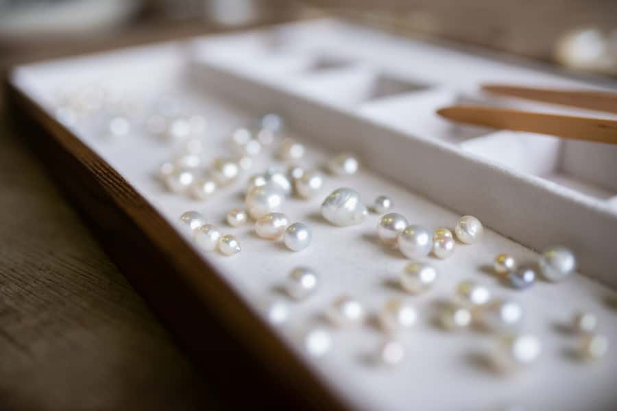 Shell to Showroom - Sydney's only Pearl Farm Experience - Broken Bay Pearl Farm: what the guided hour really covers