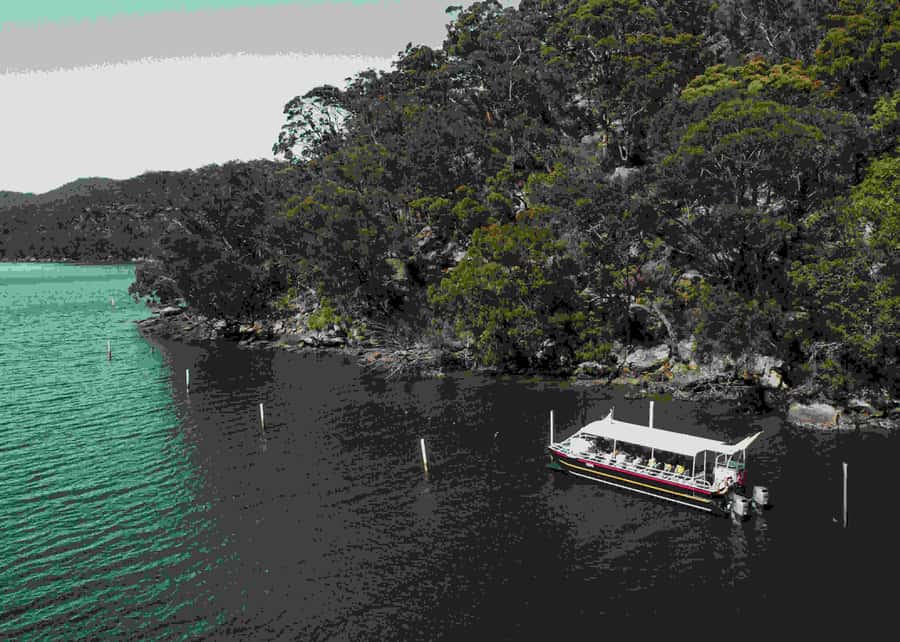 Shell to Showroom - Sydney's only Pearl Farm Experience - History of Australian pearling and the family story behind the operation