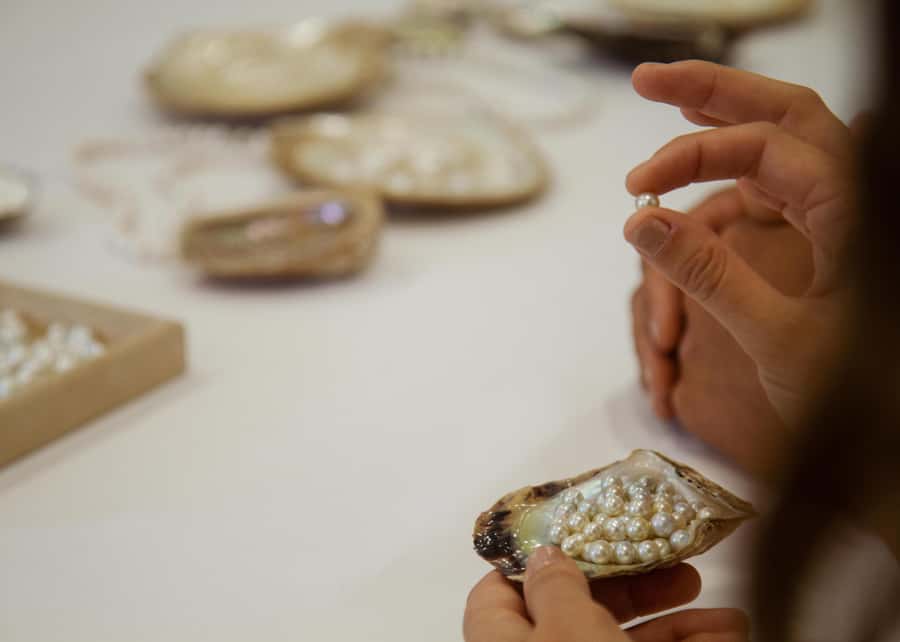 Shell to Showroom - Sydney's only Pearl Farm Experience - Price and logistics: does $70 for 2 hours make sense?