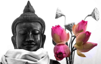 Siem Reap Lotus Silk Farm Discovery tour & Lake experience - Biolab Café Pickup: Easy Start, Real Comfort, Good Waiting Setup