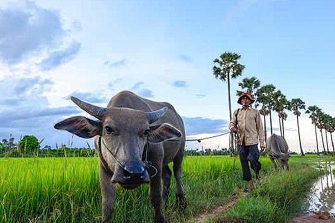 Siem Reap: Silk Farm & Countryside Offbeat Jeep Tour - Pagoda or Temple Time: Dress Respectfully and Ask Questions