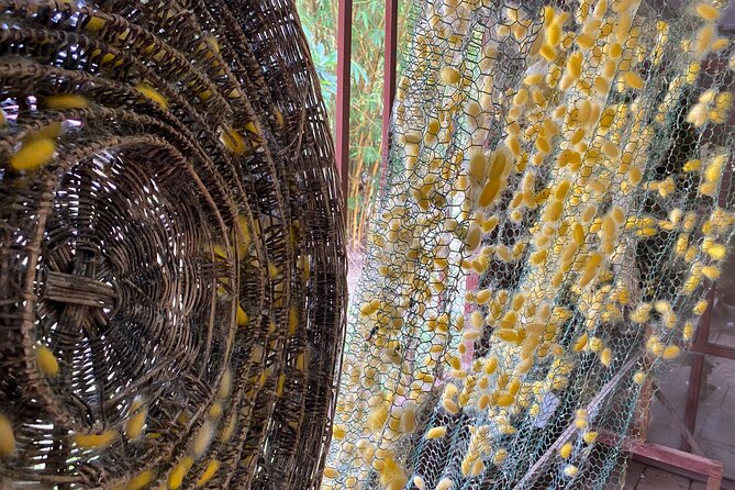 Siem Reap: Silk Farm & Countryside Offbeat Jeep Tour - Should You Book This Silk Farm & Countryside Offbeat Jeep Tour?