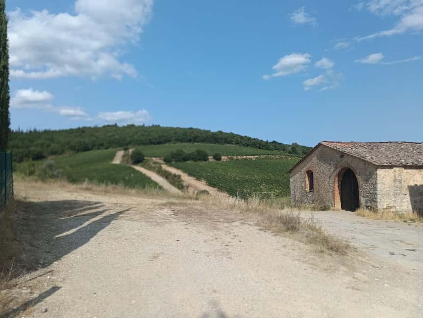 Siena: Small-group Cooking Class in a Chianti Farm - Cooking With Simone: Traditional Tuscan Pasta You Can Recreate