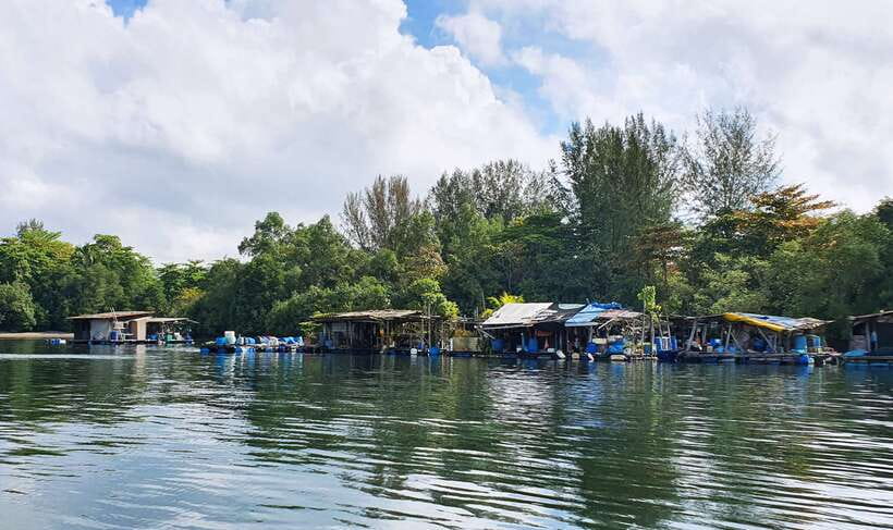 Singapore: Guided Boat Tour and Kelong Fish Farm Visit - The kelong-restaurant visit: sustainable fish farming in real life