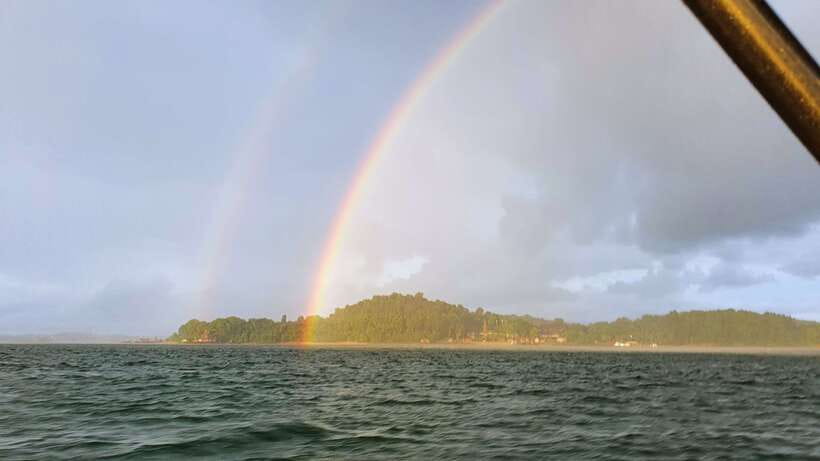 Singapore: Guided Boat Tour and Kelong Fish Farm Visit - Time on the water: what the 3 hours actually feels like