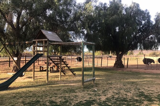 Skip the Line: Highgate Ostrich Farm Tour Ticket - About that derby viewing: a fun closer for the whole group