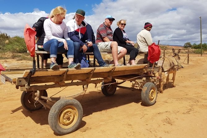 Skip the Line: Highgate Ostrich Farm Tour Ticket - Practical tips that keep the day comfortable