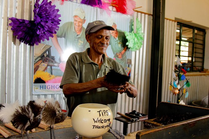 Skip the Line: Highgate Ostrich Farm Tour Ticket - Main yard magic: feeding, feathers, incubators, and the biology that clicks