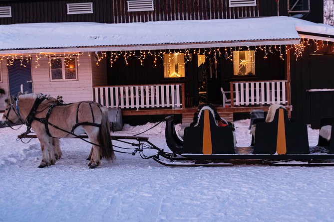 Sleigh Ride w/ snacks - Experience Arctic Farm Life - Key points worth knowing before you go