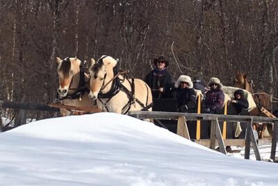 Sleigh Ride w/ snacks - Experience Arctic Farm Life - Getting to Omdal Gard: pickup from Alta and the drive you’ll actually enjoy