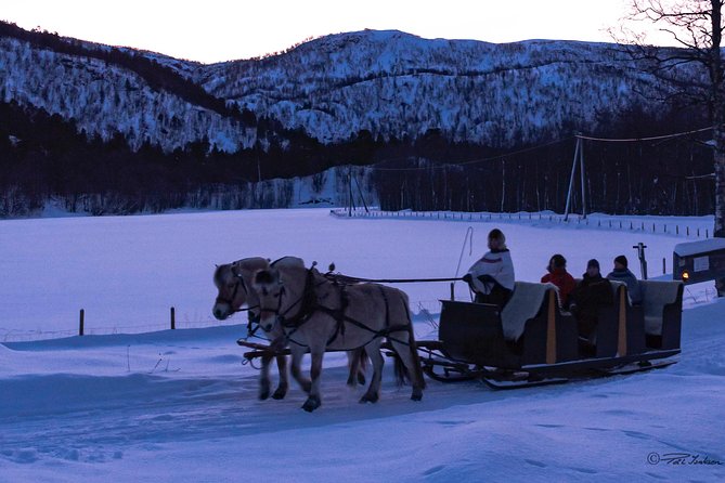 Sleigh Ride w/ snacks - Experience Arctic Farm Life - Warming up in the Sami lavvo: what snacks really mean here