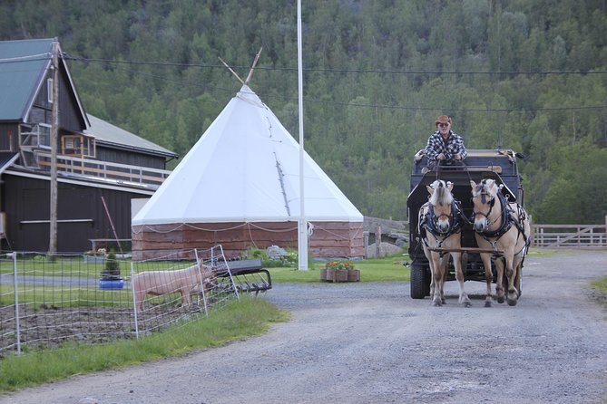 Sleigh Ride w/ snacks - Experience Arctic Farm Life - When snow doesn’t cooperate: sled vs wagon vs covered carriage