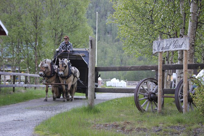 Sleigh Ride w/ snacks - Experience Arctic Farm Life - Price and value: what $183.08 is really buying